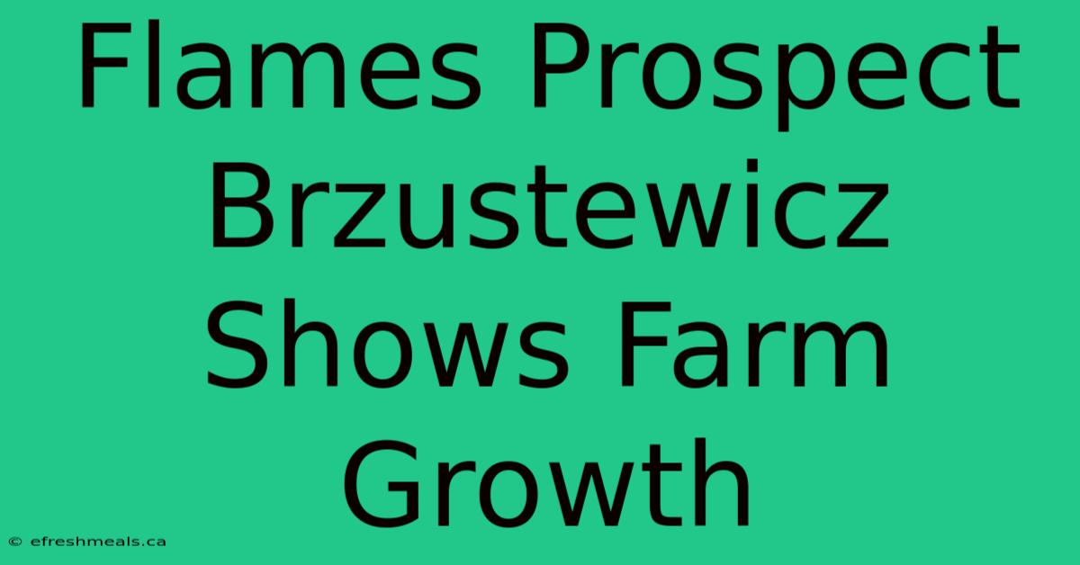 Flames Prospect Brzustewicz Shows Farm Growth