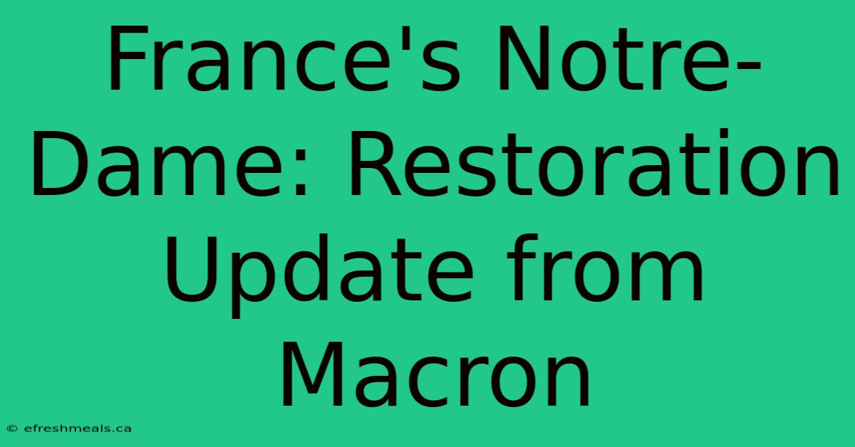 France's Notre-Dame: Restoration Update From Macron