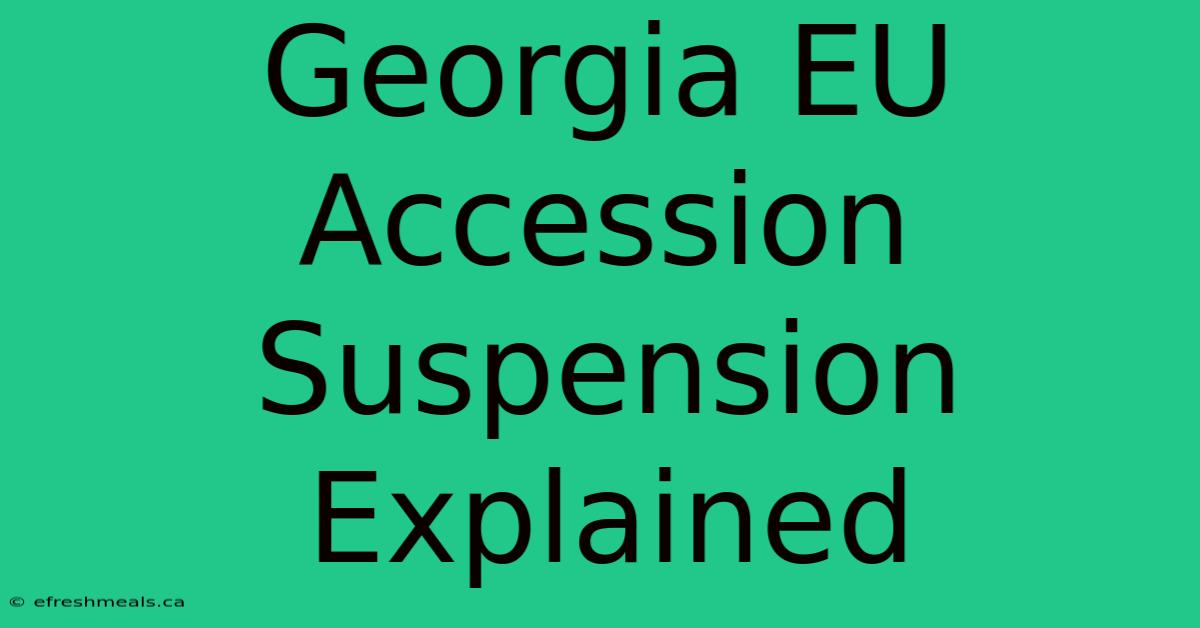 Georgia EU Accession Suspension Explained