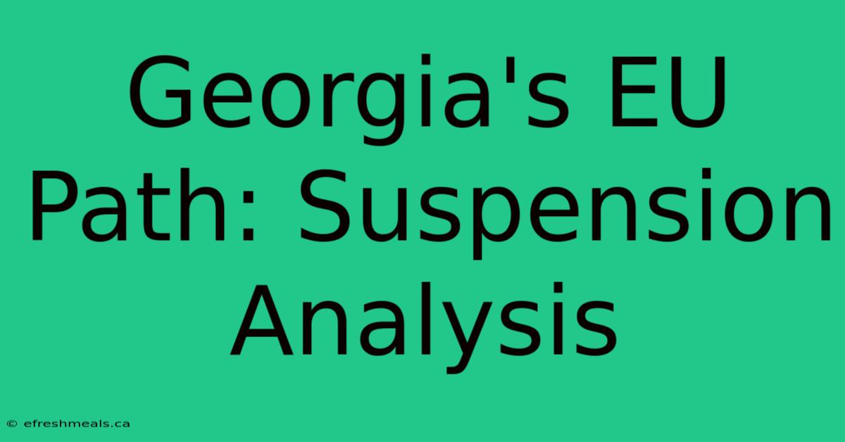 Georgia's EU Path: Suspension Analysis