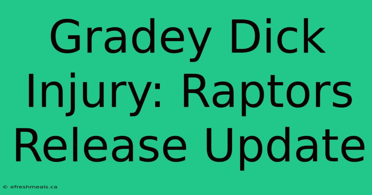 Gradey Dick Injury: Raptors Release Update