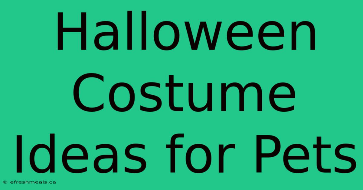 Halloween Costume Ideas For Pets 