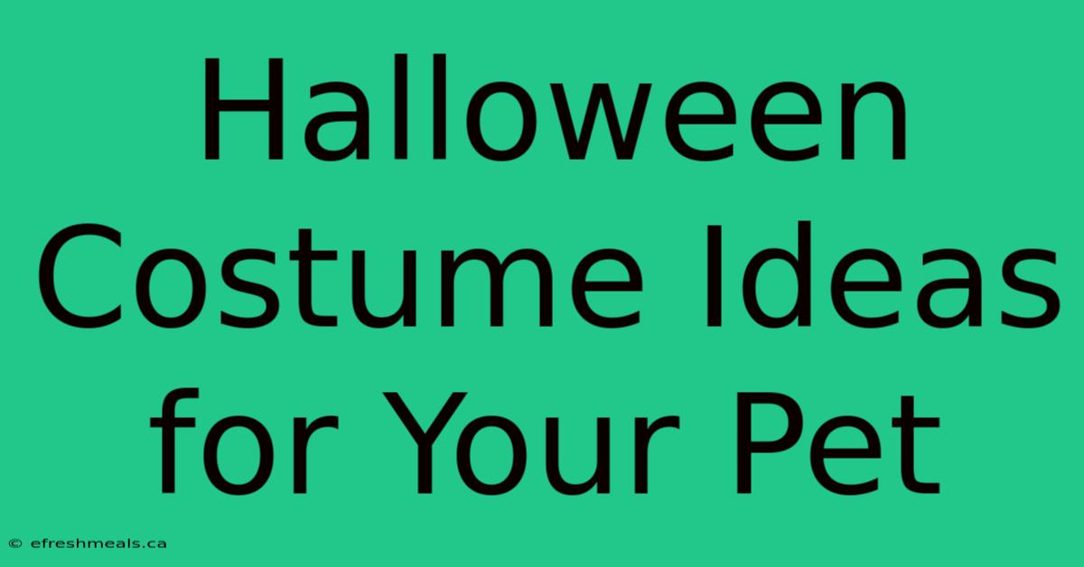 Halloween Costume Ideas For Your Pet