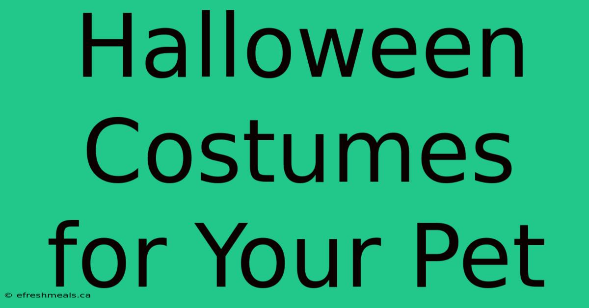 Halloween Costumes For Your Pet