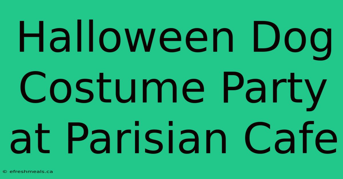 Halloween Dog Costume Party At Parisian Cafe