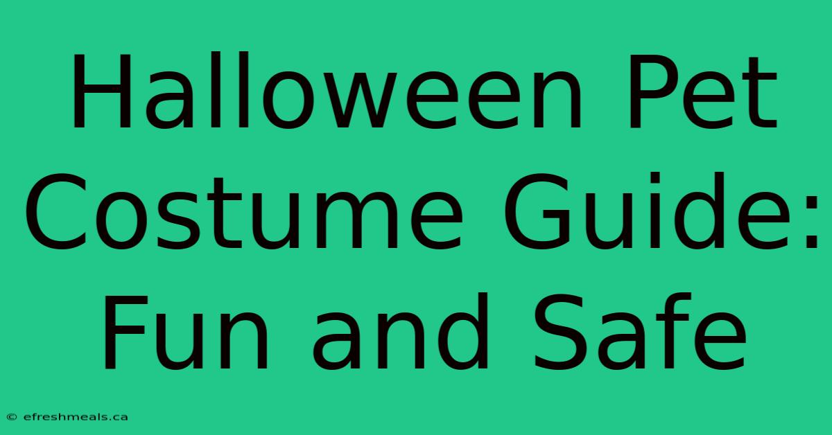 Halloween Pet Costume Guide: Fun And Safe 