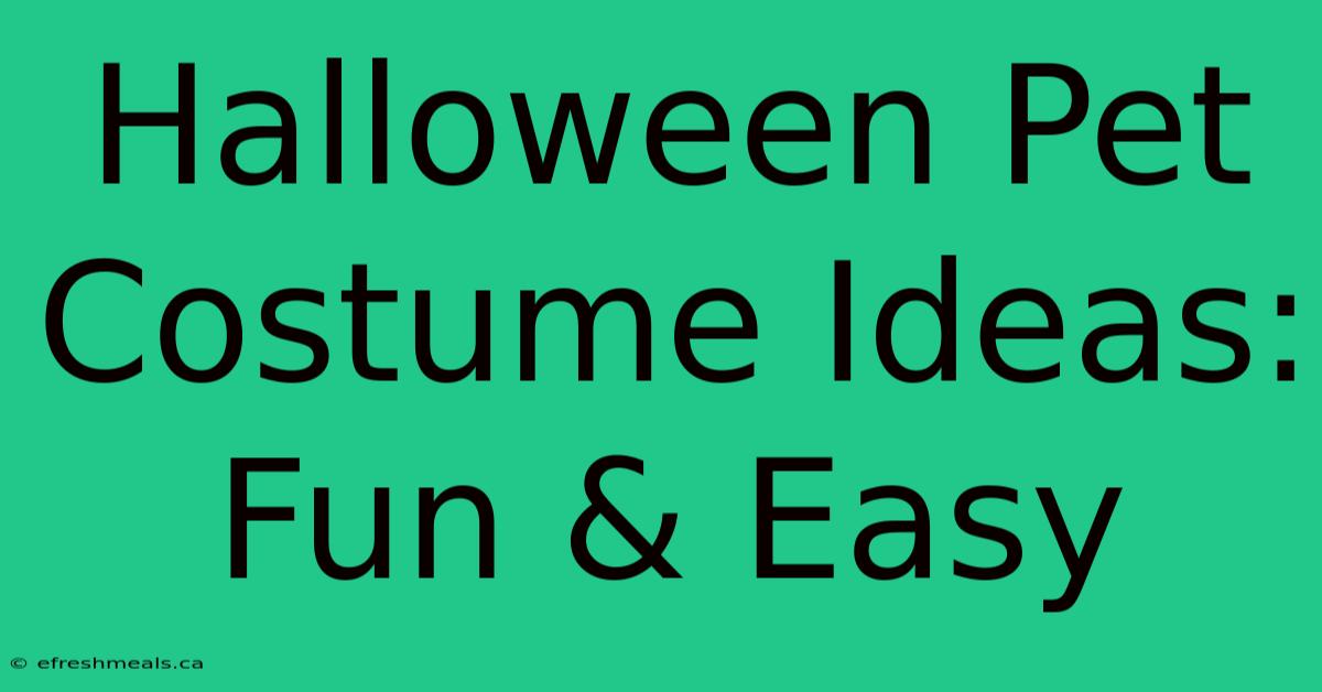 Halloween Pet Costume Ideas: Fun & Easy