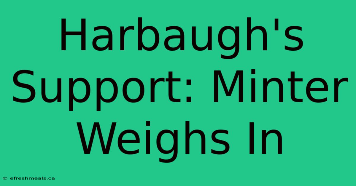 Harbaugh's Support: Minter Weighs In