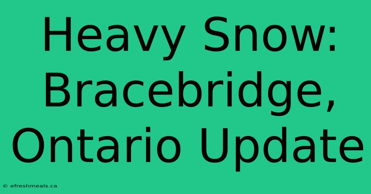 Heavy Snow: Bracebridge, Ontario Update