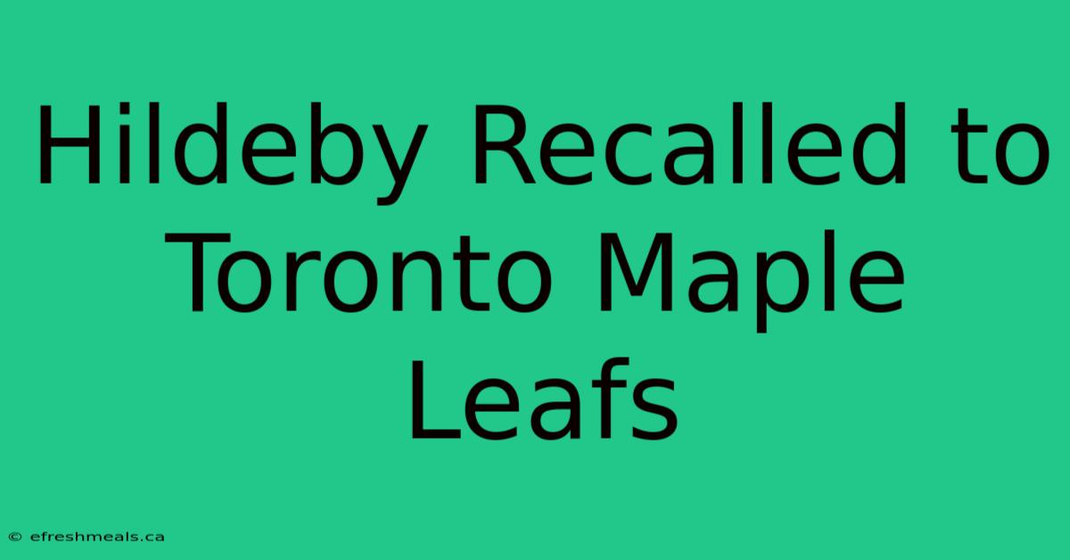 Hildeby Recalled To Toronto Maple Leafs