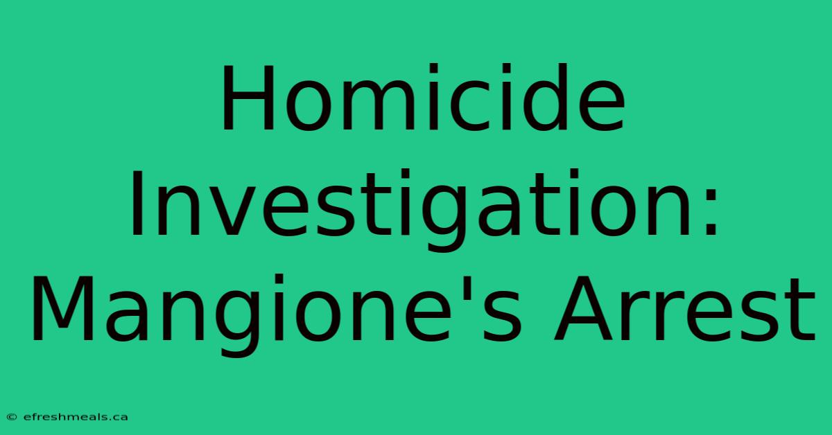 Homicide Investigation: Mangione's Arrest