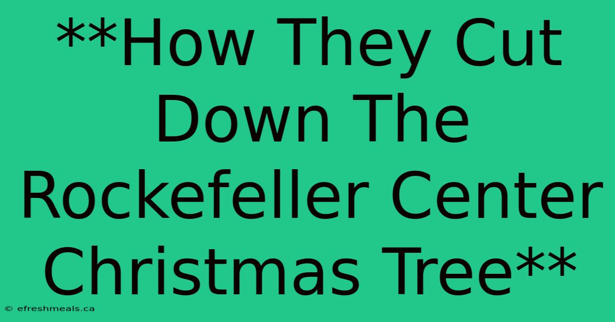 **How They Cut Down The Rockefeller Center Christmas Tree**