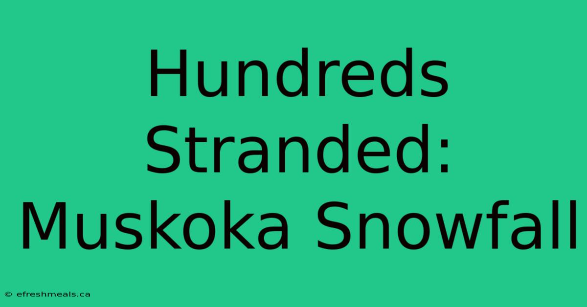 Hundreds Stranded: Muskoka Snowfall