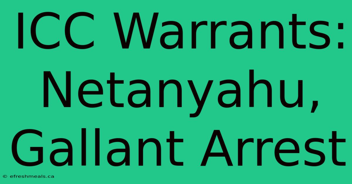 ICC Warrants: Netanyahu, Gallant Arrest