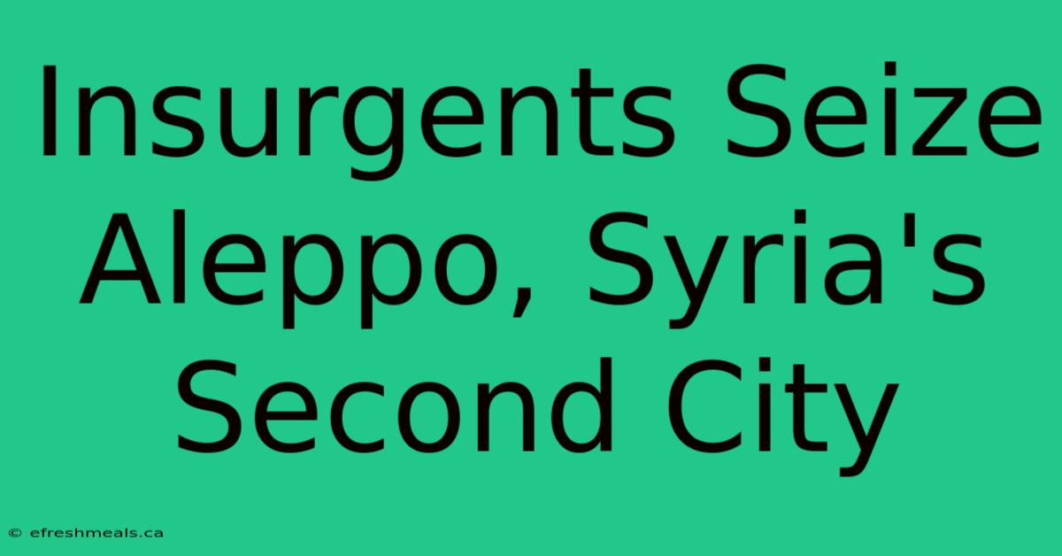 Insurgents Seize Aleppo, Syria's Second City