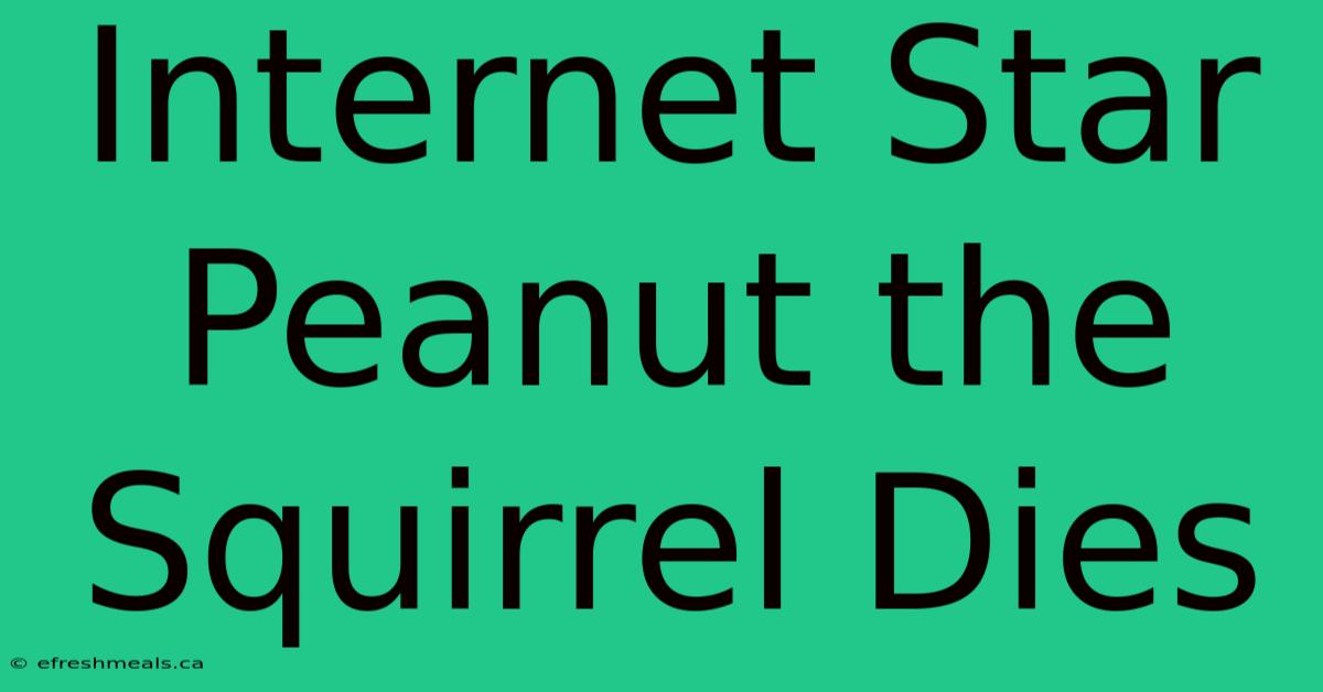 Internet Star Peanut The Squirrel Dies