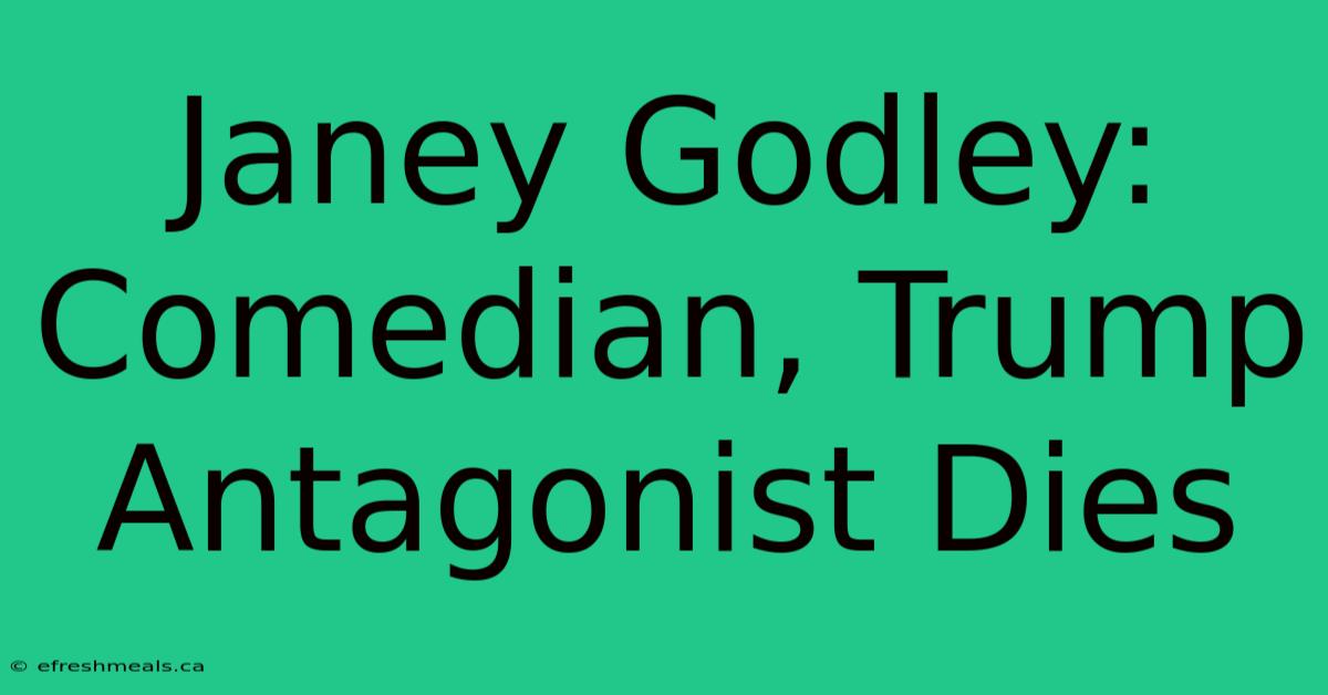 Janey Godley: Comedian, Trump Antagonist Dies