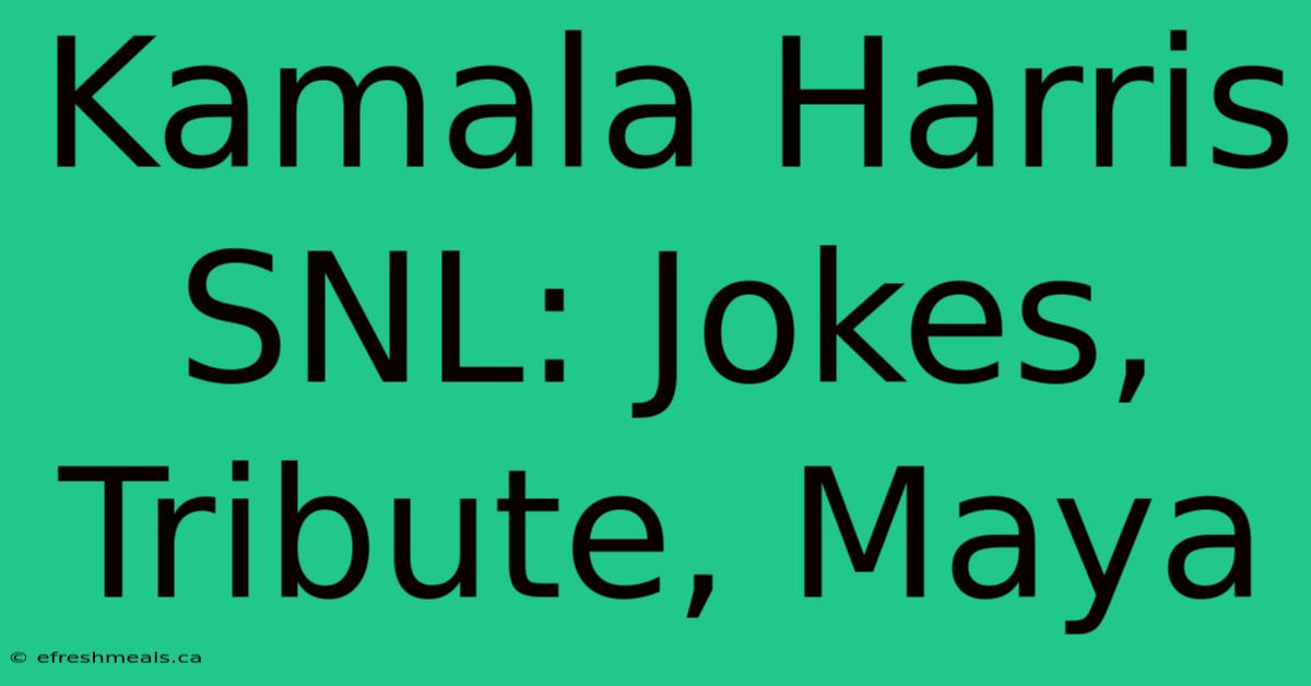 Kamala Harris SNL: Jokes, Tribute, Maya 