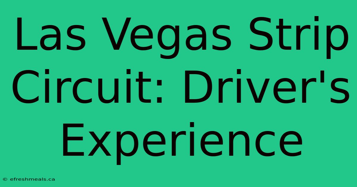 Las Vegas Strip Circuit: Driver's Experience