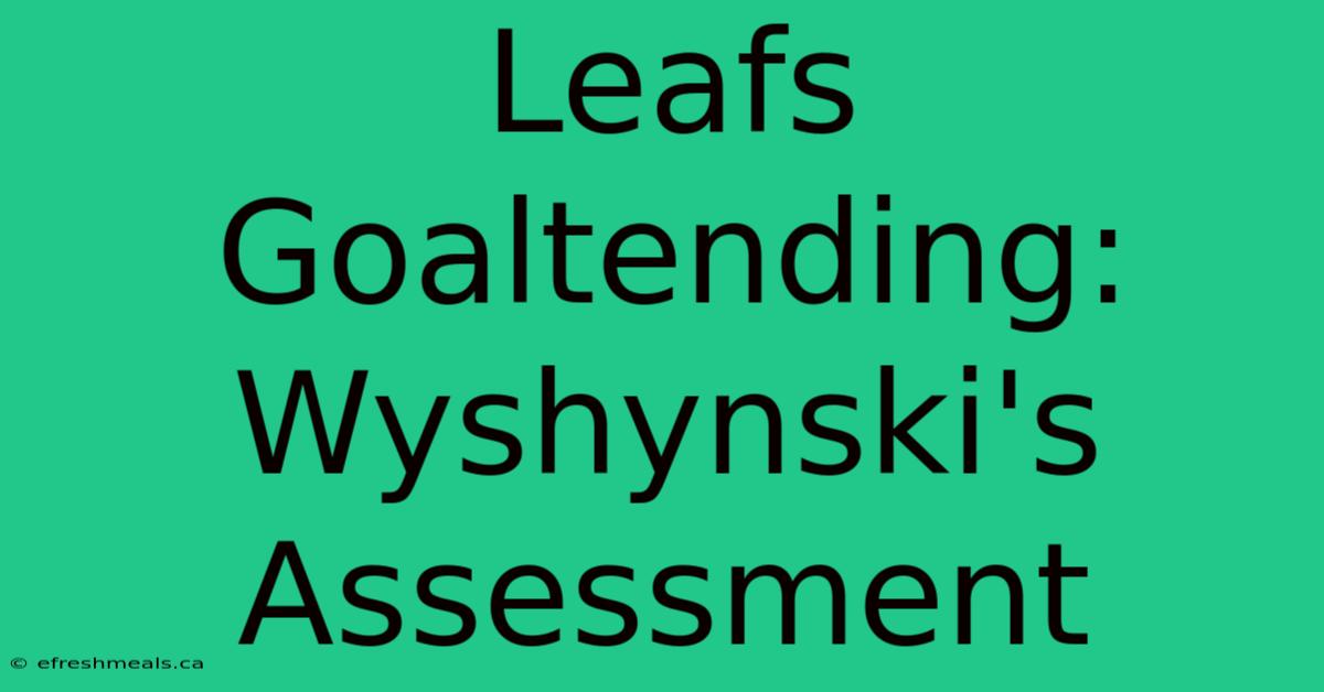 Leafs Goaltending: Wyshynski's Assessment