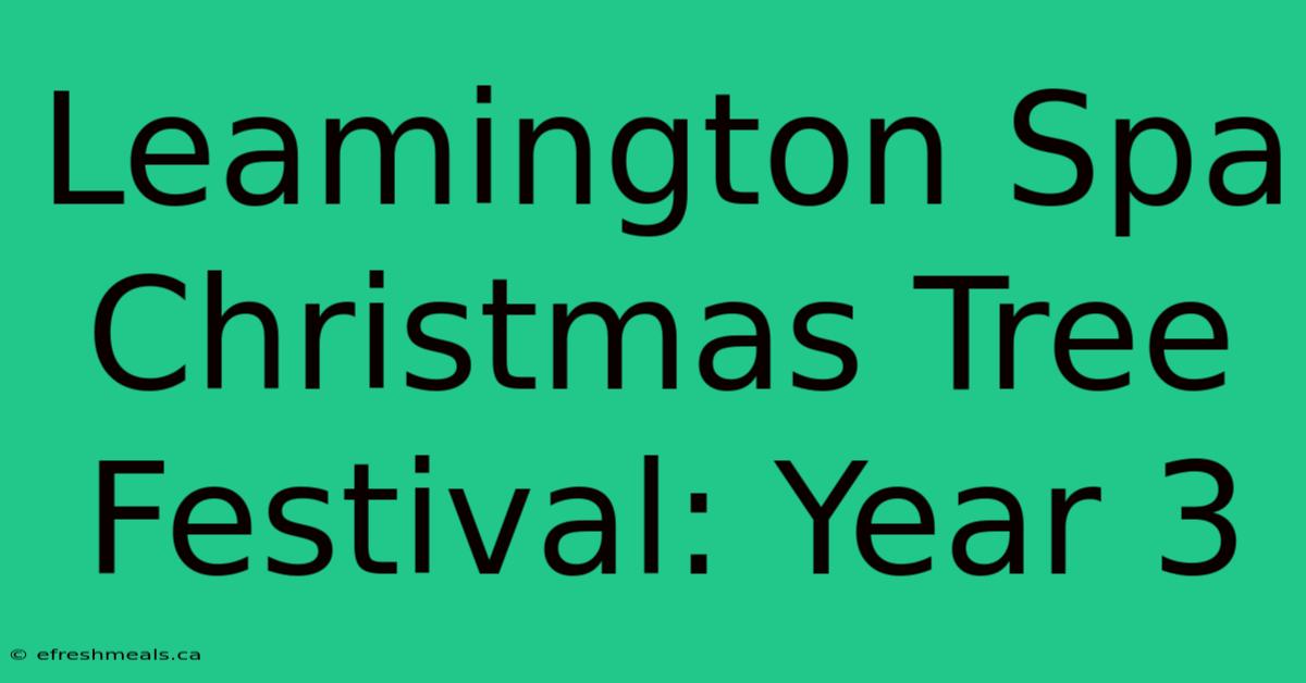 Leamington Spa Christmas Tree Festival: Year 3 