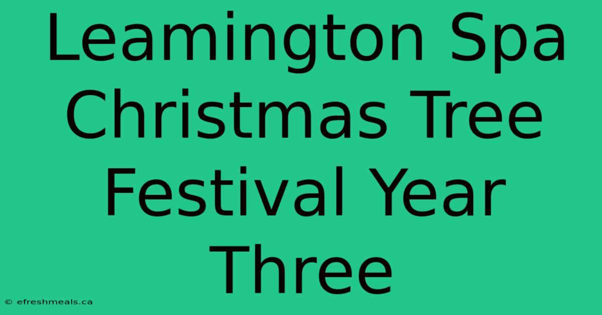 Leamington Spa Christmas Tree Festival Year Three