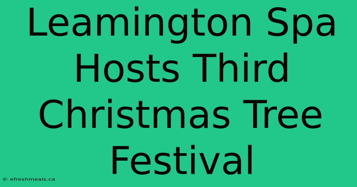 Leamington Spa Hosts Third Christmas Tree Festival