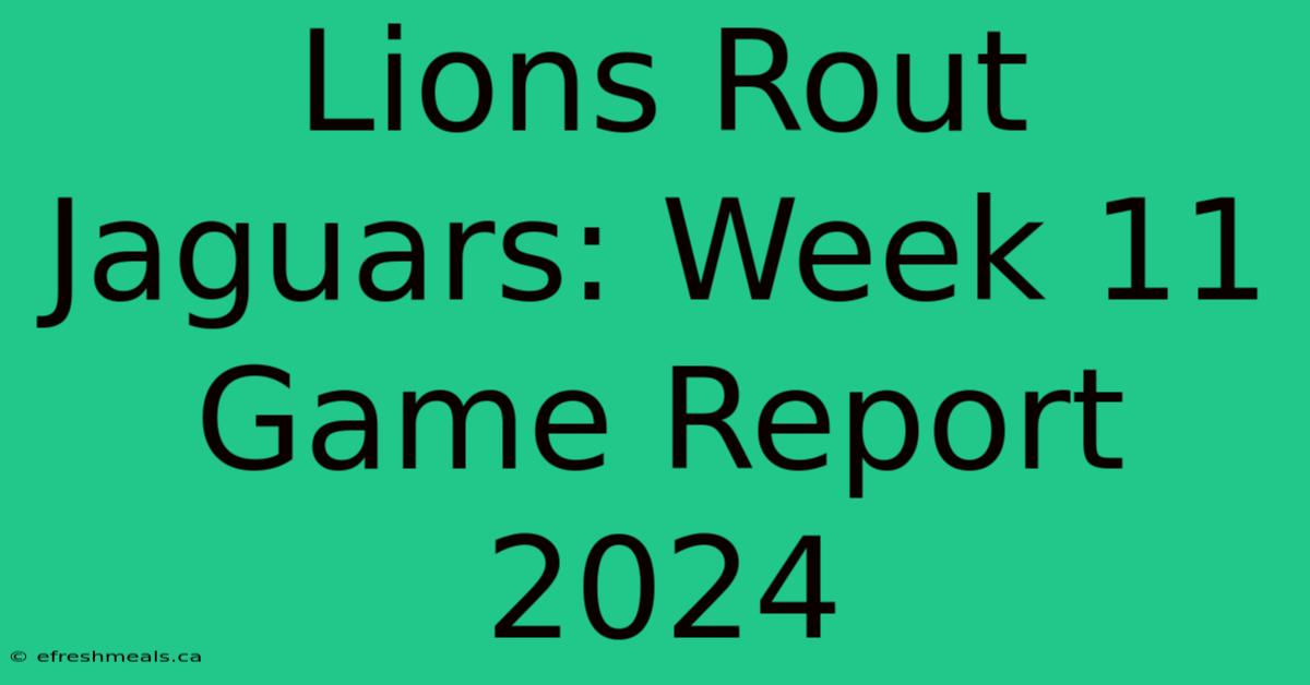 Lions Rout Jaguars: Week 11 Game Report 2024