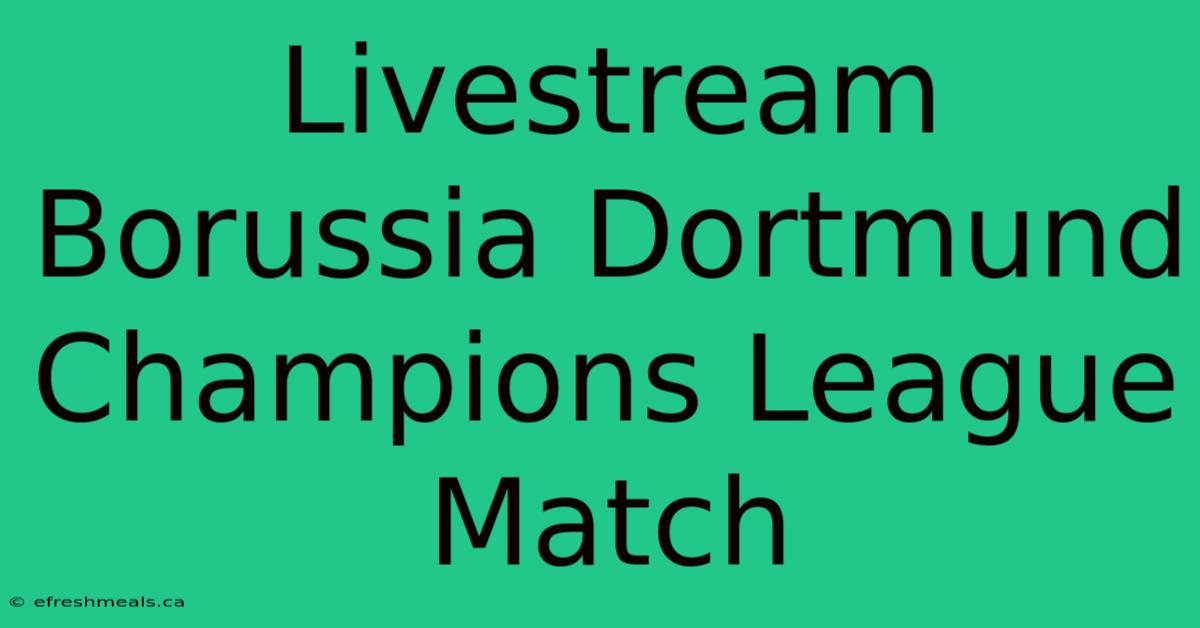 Livestream Borussia Dortmund Champions League Match