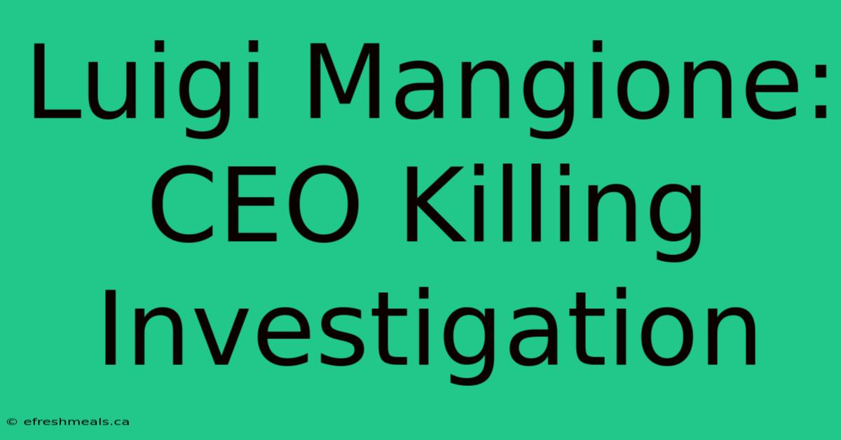 Luigi Mangione: CEO Killing Investigation