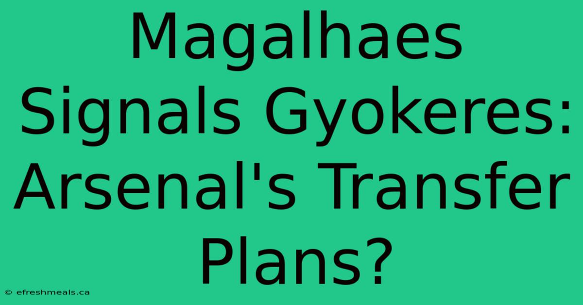 Magalhaes Signals Gyokeres: Arsenal's Transfer Plans?