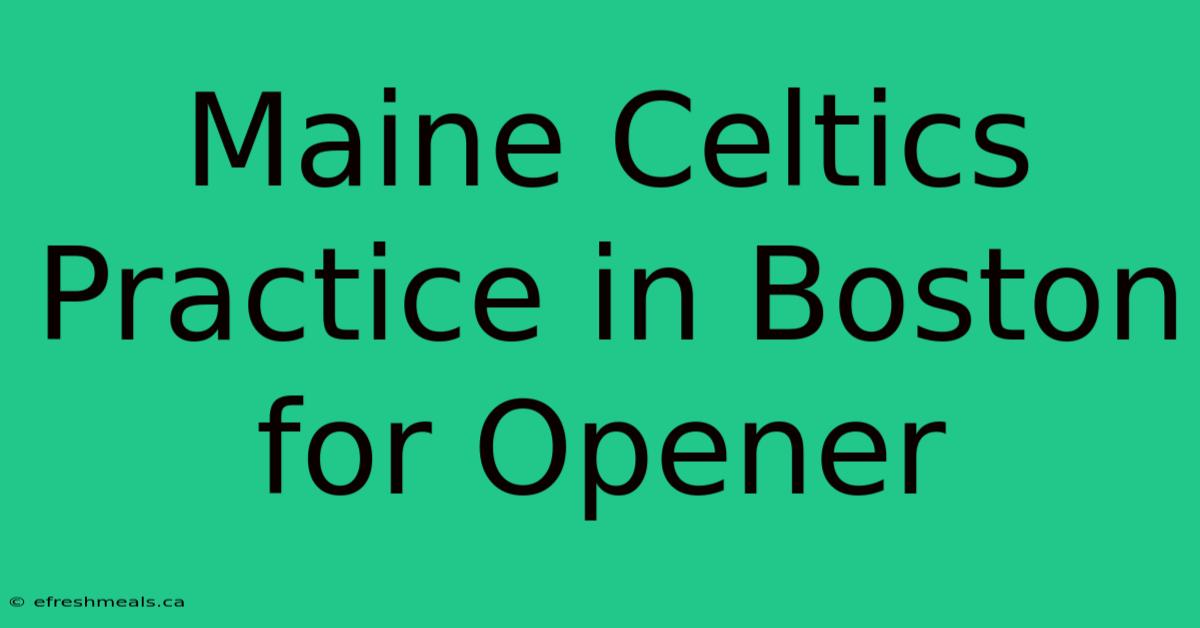 Maine Celtics Practice In Boston For Opener