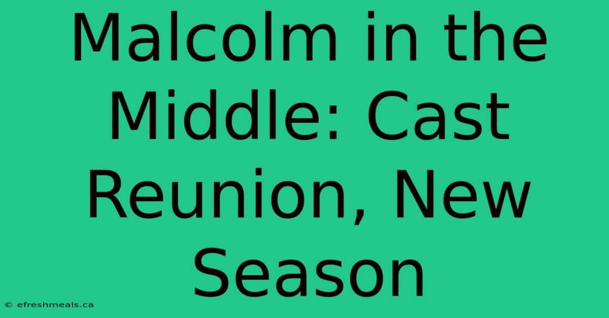 Malcolm In The Middle: Cast Reunion, New Season