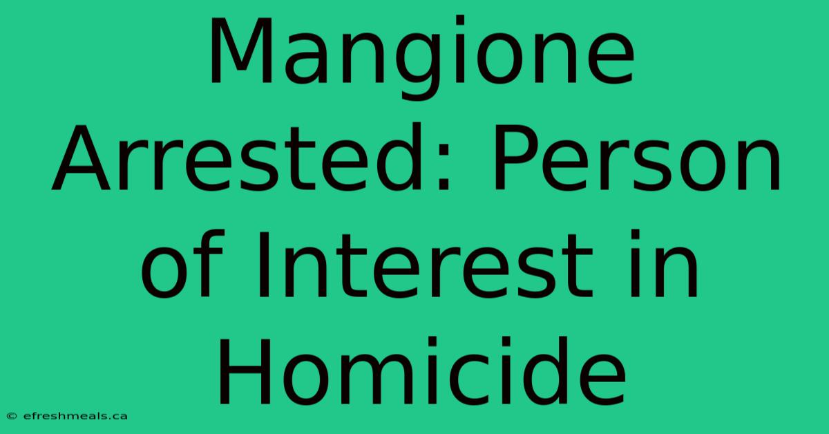 Mangione Arrested: Person Of Interest In Homicide