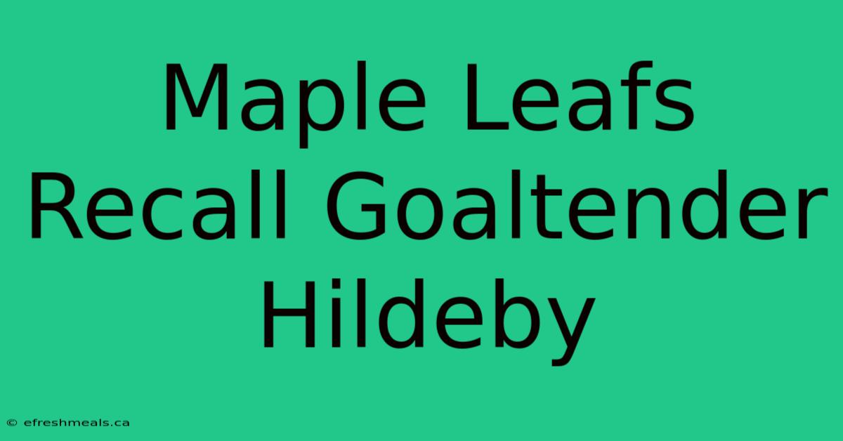 Maple Leafs Recall Goaltender Hildeby