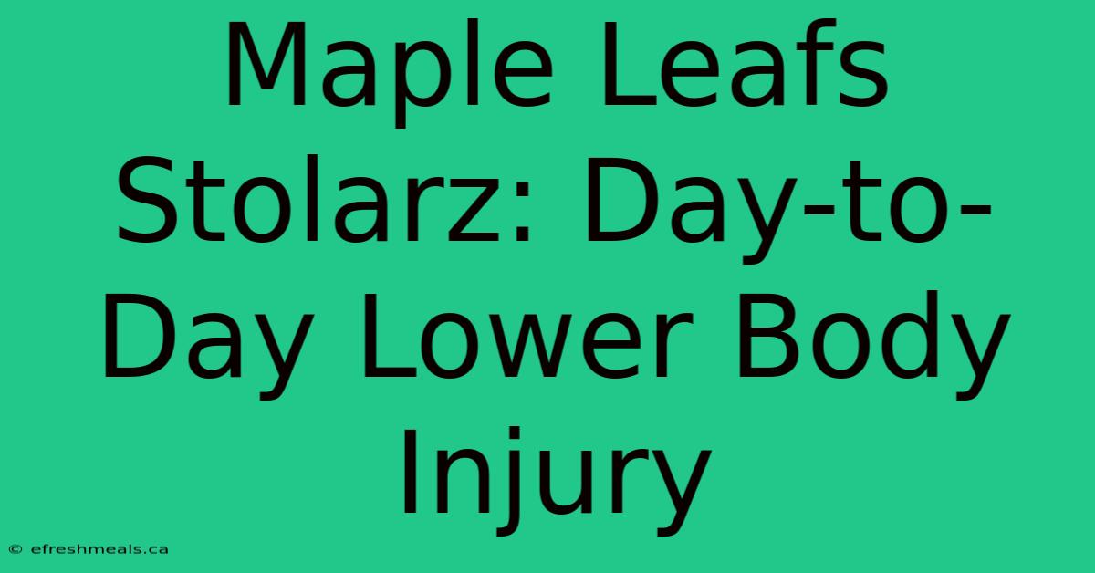 Maple Leafs Stolarz: Day-to-Day Lower Body Injury