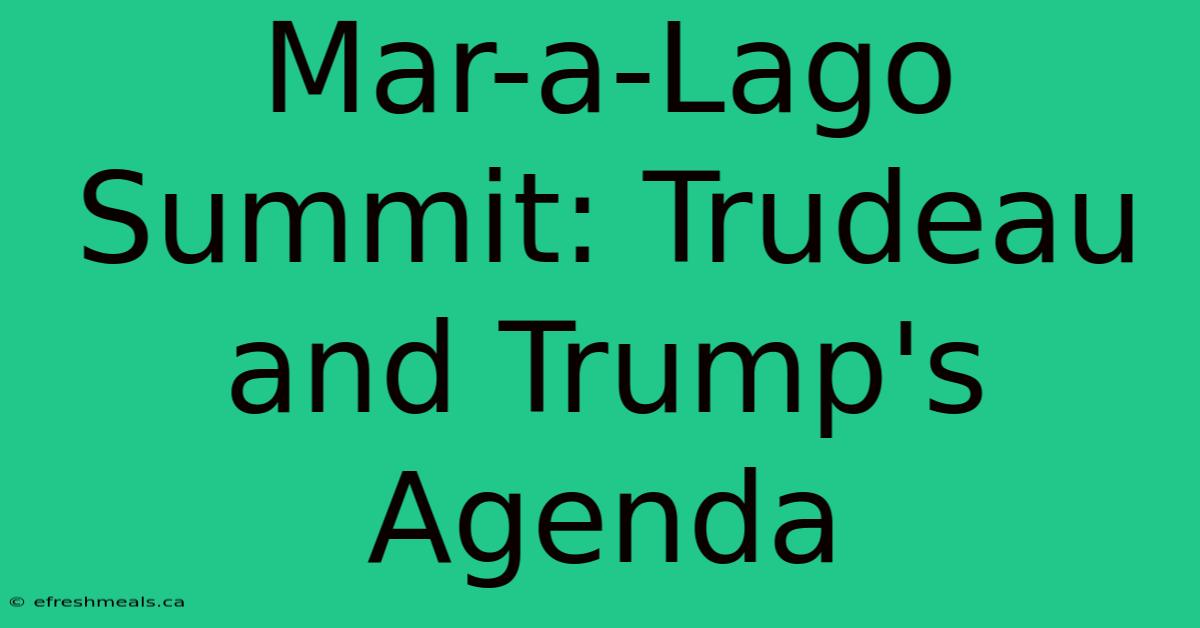 Mar-a-Lago Summit: Trudeau And Trump's Agenda