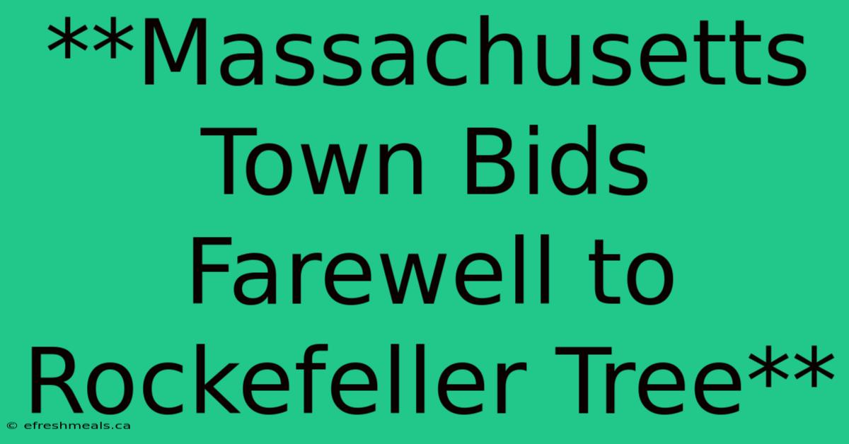 **Massachusetts Town Bids Farewell To Rockefeller Tree** 