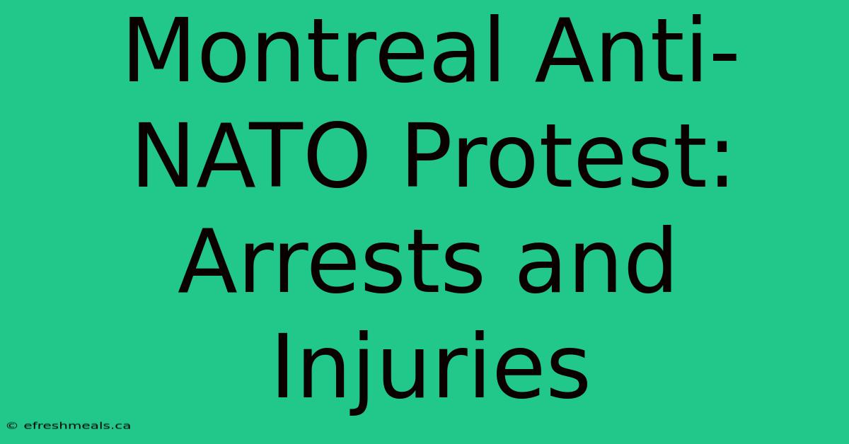 Montreal Anti-NATO Protest: Arrests And Injuries