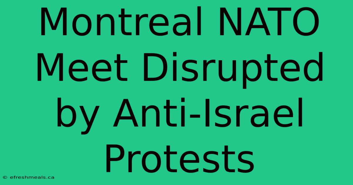 Montreal NATO Meet Disrupted By Anti-Israel Protests