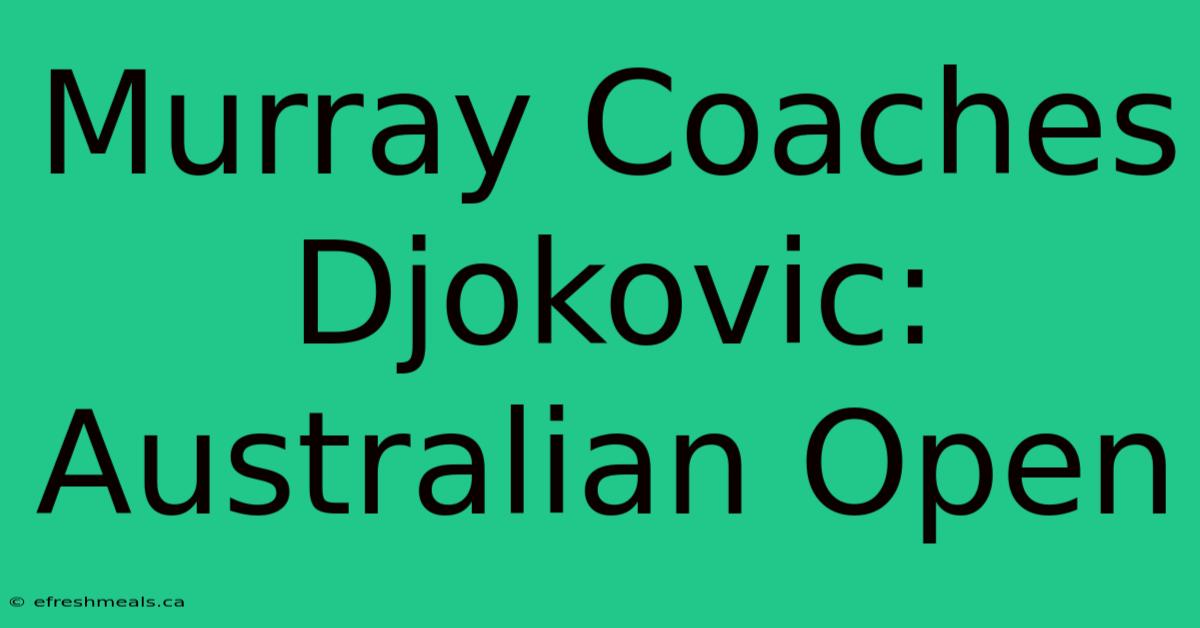 Murray Coaches Djokovic: Australian Open