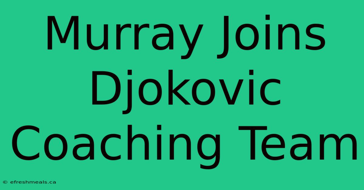 Murray Joins Djokovic Coaching Team