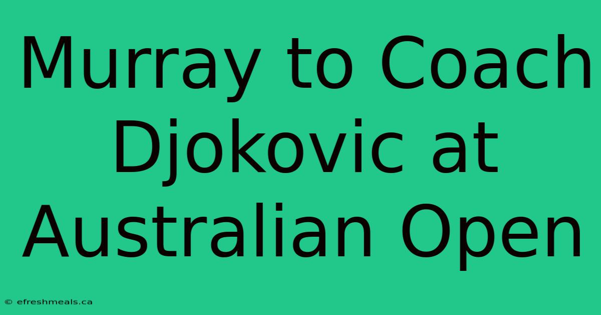 Murray To Coach Djokovic At Australian Open