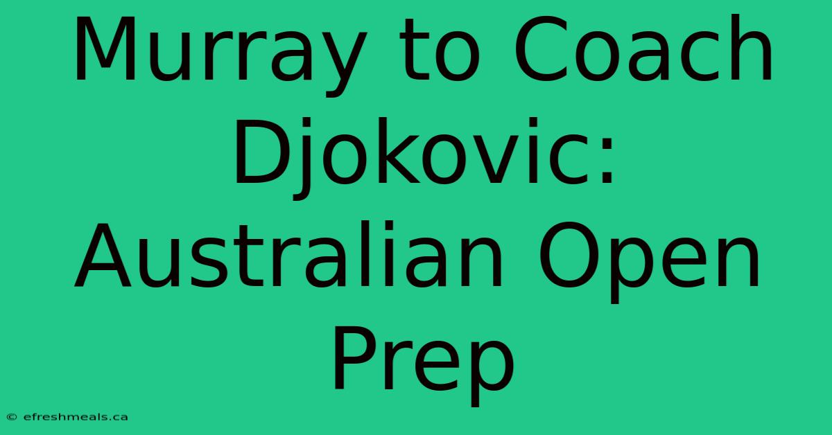 Murray To Coach Djokovic: Australian Open Prep