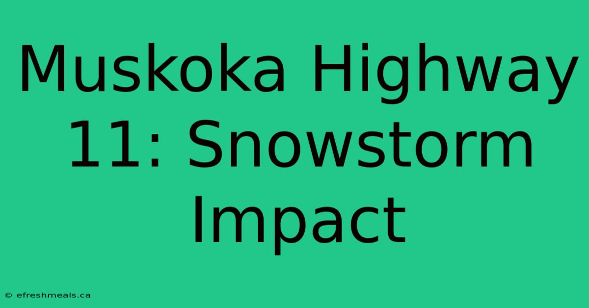 Muskoka Highway 11: Snowstorm Impact