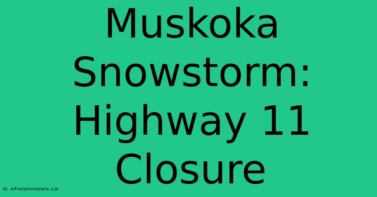 Muskoka Snowstorm: Highway 11 Closure