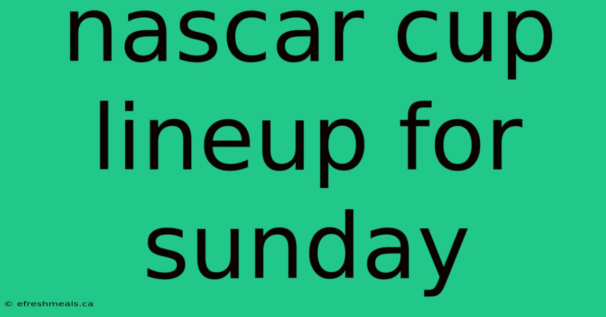 Nascar Cup Lineup For Sunday