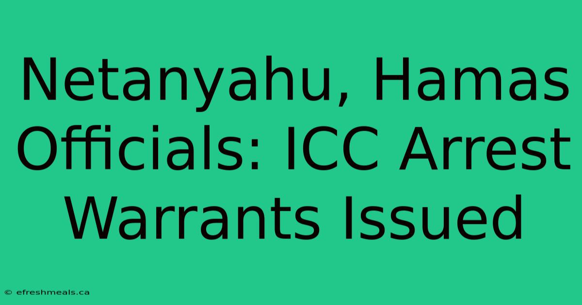 Netanyahu, Hamas Officials: ICC Arrest Warrants Issued