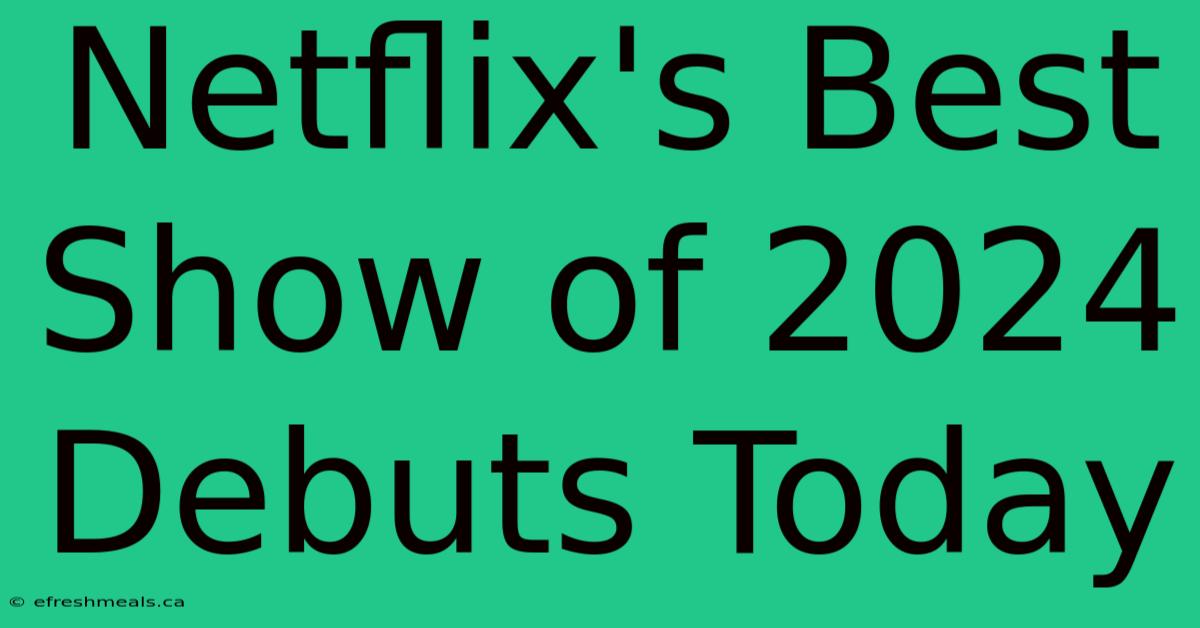 Netflix's Best Show Of 2024 Debuts Today