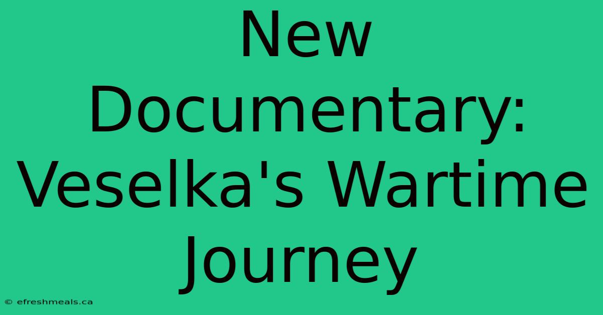 New Documentary: Veselka's Wartime Journey